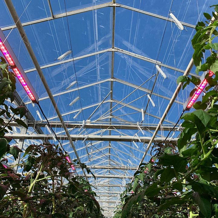 Den Haan Greenhouses
